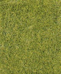 Heki 1855 decovlies Wildgras wiesengrün (Spur H0)