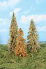 Heki 2177 3 Lärchen herbstlich 18-24 cm