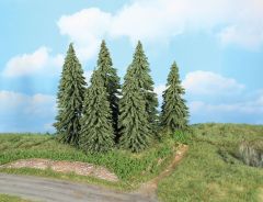 Heki 21801 6 Wetterfichten 14-18 cm