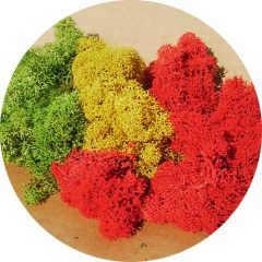Heki 3232 Islandmoos sortiert 250 g