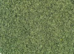 Heki 33540 Grasfaser Willdgras Wintergra (Spur H0)