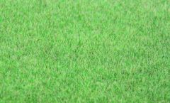Heki 33542 Grasfaser Willdgras Steppengr (Spur H0)