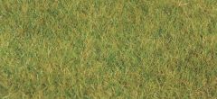 Heki 3377 Grasfaser XL Sommer, 50 g, 10 (Spur H0)