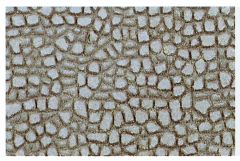 Heki 70162 Rundsteinmauer N/Z,28x14 cm, (Spur H0)