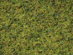 NOCH 7073 Master-Grasmischung Kuhweide, (Spur H0)