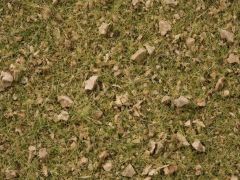 NOCH 7075 Master-Grasmischung Almwiese, (Spur H0)