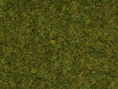 NOCH 7117 Wildgras Wiese (Spur H0)