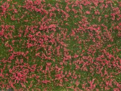 NOCH 7257 Bodend.-Foliage Wiese rot (Spur H0)