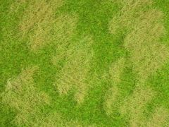 NOCH 7472 Natur+ Naturwiese (Spur H0)