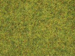 NOCH 8151 Streugras Sommerwiese, 2,5 mm (Spur H0)