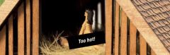 NOCH 12899 Sexy Sounds (Spur H0)