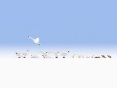 NOCH 15774 Schwäne und Enten (Spur H0)