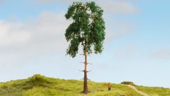 NOCH 20141 Kiefer, 18 cm hoch (Spur H0)