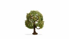 NOCH 20145 Apfelbaum, 8 cm hoch (Spur H0)