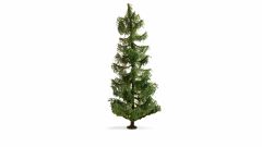 NOCH 20190 Fichte, 19 cm hoch (Spur H0)