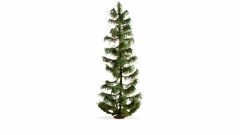 NOCH 20192 Fichte, 25 cm hoch (Spur H0)