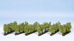 NOCH 21545 Weinreben (Spur H0)