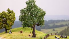 NOCH 21771 TT m-m Baum mit Schaukel (Spur H0)