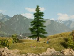 NOCH 21811 Nordmanntanne (Spur H0)