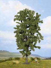 NOCH 25895 Rosskastanie, 19 cm hoch (Spur H0)