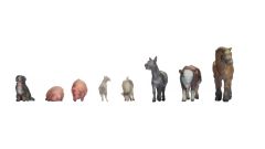 NOCH 44705 Tiere auf dem Bauernhof (Spur Z Miniclub)