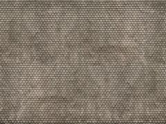NOCH 56691 3D-Kartonplatte ÊBiberschwan (Spur H0)