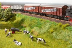NOCH 60775 Vegetatins-Startset Im Bahndamm (Spur H0)