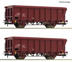 Roco 6600280 2er Set ex. Rolldachwagen DR (Spur H0)