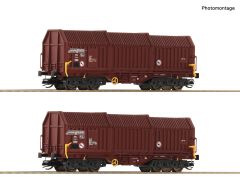 Roco 6680009 2er Set Teleskophaubenwag. DR (Spur TT)