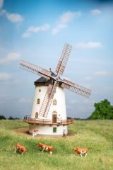 Auhagen 14490 N Windmühle Gohlis