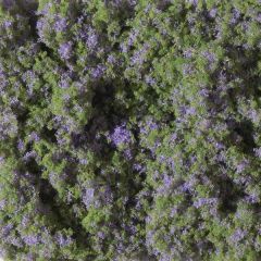 Auhagen 76931 Blumenmatte violett