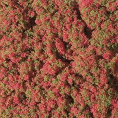 Auhagen 76932 Blumenmatte rot